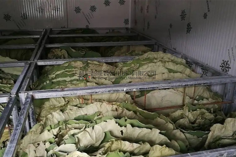 空氣能荷葉烘干機——荷葉烘干工藝