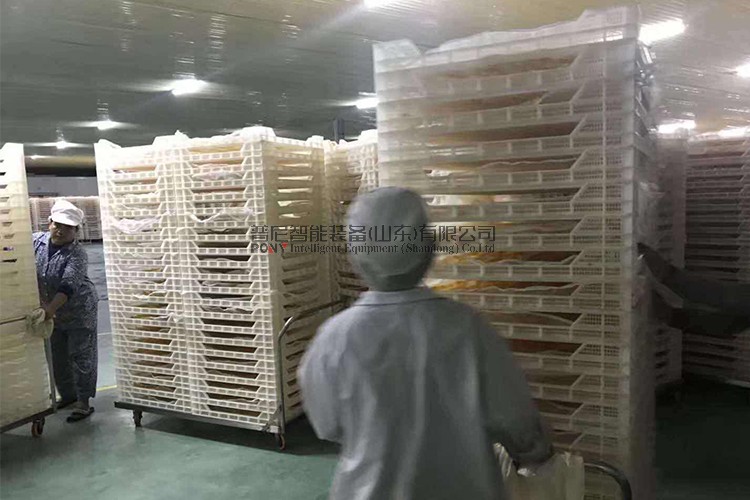 使用芒果烘干機的注意咯，請使用白色塑料盤防止粘盤！
